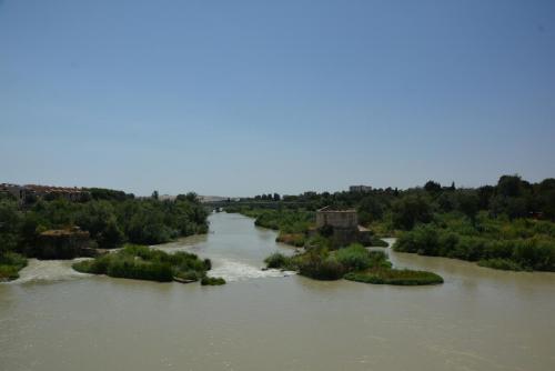 DSC_1541.JPG