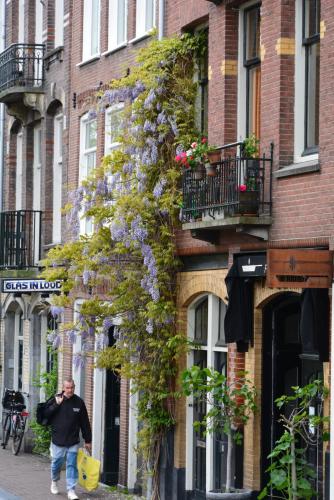 DSC_6595.JPG