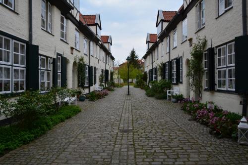 DSC_5060.JPG