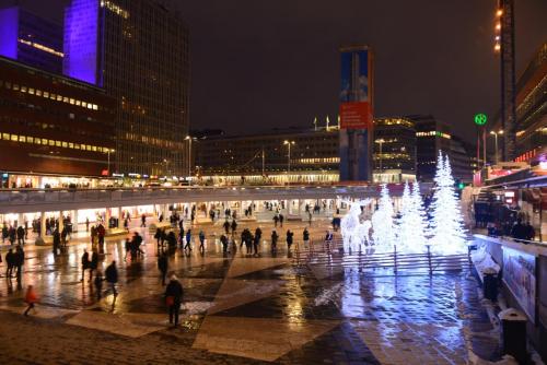 DSC_0511.JPG