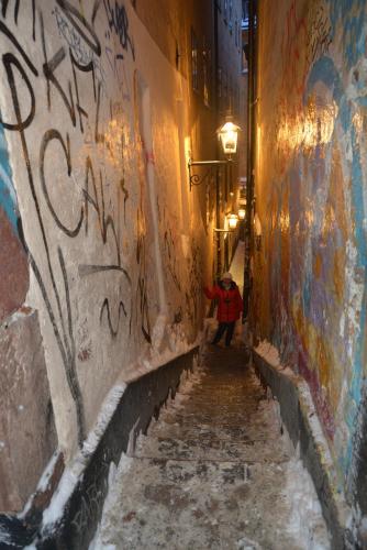DSC_0397.JPG