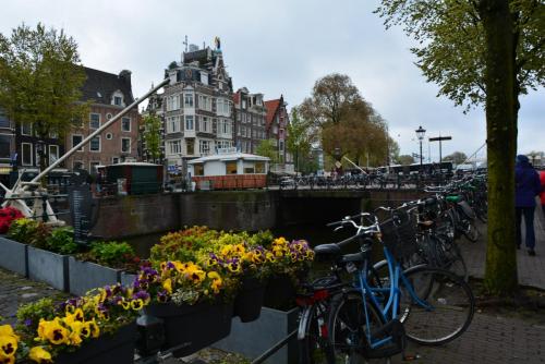 DSC_6238.JPG
