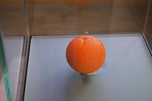 DSC_4808.JPG
