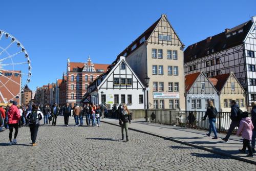 DSC_4443.JPG