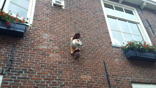 20170504_200328.jpg