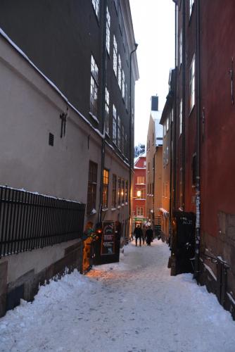 DSC_0373.JPG