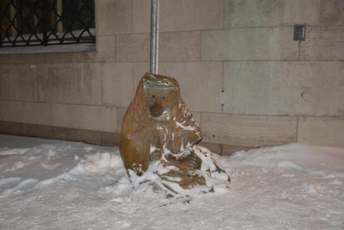 DSC_0487.JPG