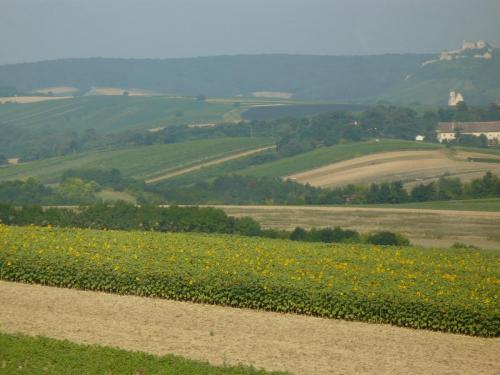 P1080851.JPG