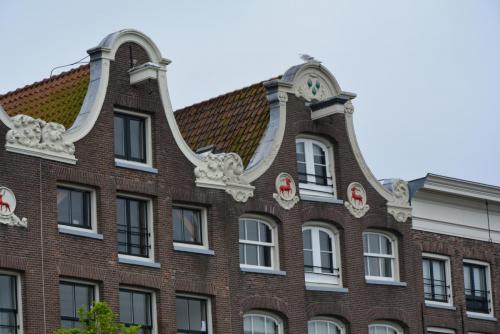 DSC_6500.JPG