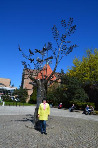 DSC_4194.JPG
