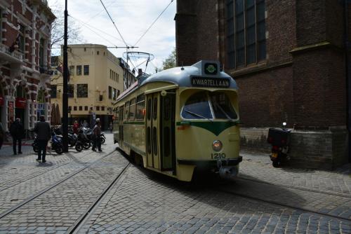 DSC_8918.JPG