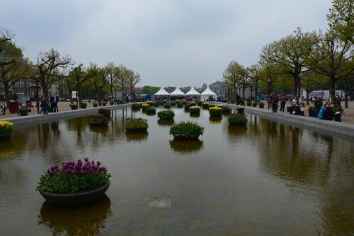 DSC_5592.JPG
