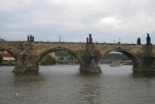 IMG_5487.jpg