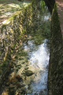 IMG_4187.jpg