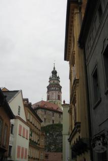 IMG_5654.jpg