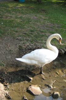 IMG_4151.jpg