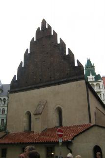 IMG_5565.jpg