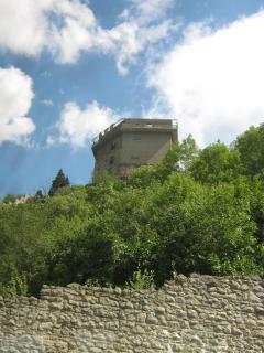 IMG_4554.JPG