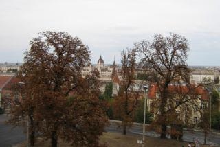 IMG_4303.jpg