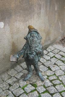 IMG_5883.jpg