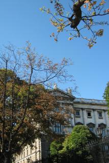 IMG_4978.jpg