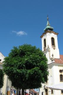 IMG_4559.jpg