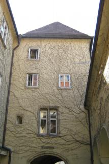 IMG_5125.jpg