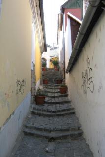 IMG_4644.jpg