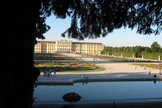 IMG_5050.jpg