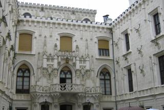 IMG_5622.jpg