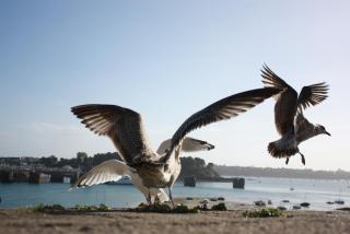 IMG_6242.JPG