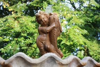 IMG_5940.JPG