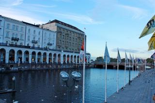 IMG_4855.JPG