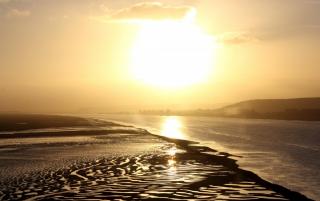 IMG_58601.jpg