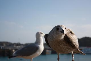 IMG_6234.JPG