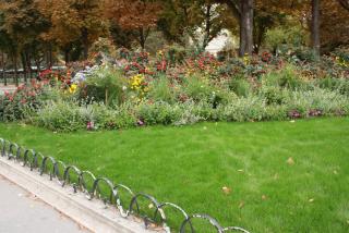 IMG_6790.JPG