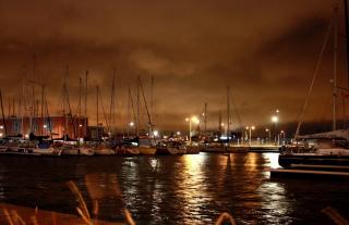 IMG_57491.jpg