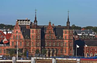 IMG_4623.JPG