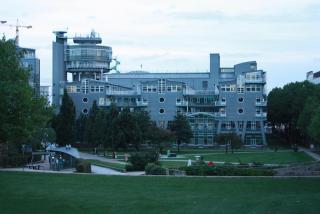 IMG_4879.JPG