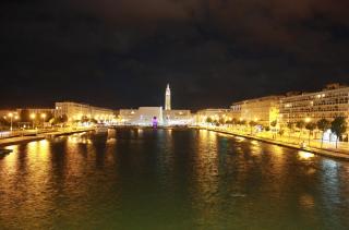 IMG_58251.jpg
