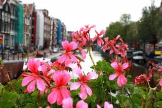 IMG_5004.JPG