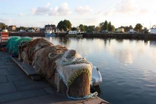 IMG_5872.JPG