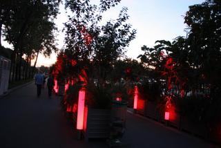 IMG_6518.JPG