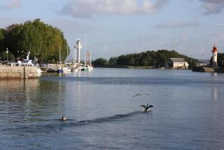 IMG_6010.JPG