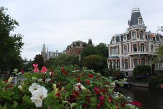 IMG_4984.JPG
