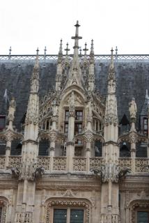 IMG_5517.JPG