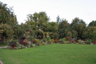 IMG_5963.JPG