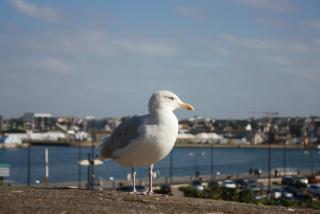 IMG_6214.JPG