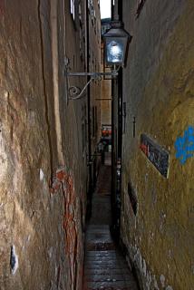 IMG_4295.JPG