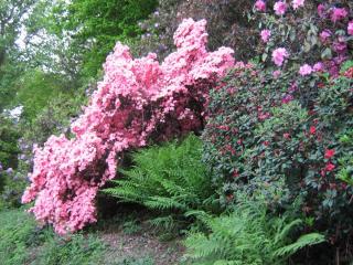 IMG_7151.JPG